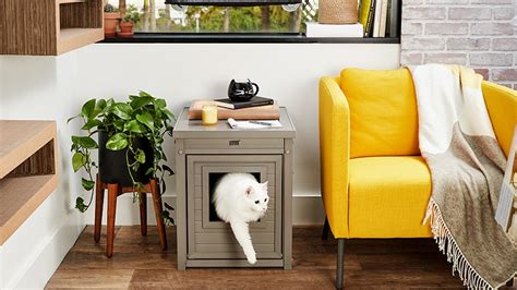 hampton cat friendly|Hampton, NJ cat friendly apartments for rent .